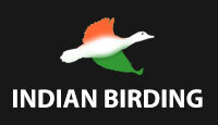 Birding In India