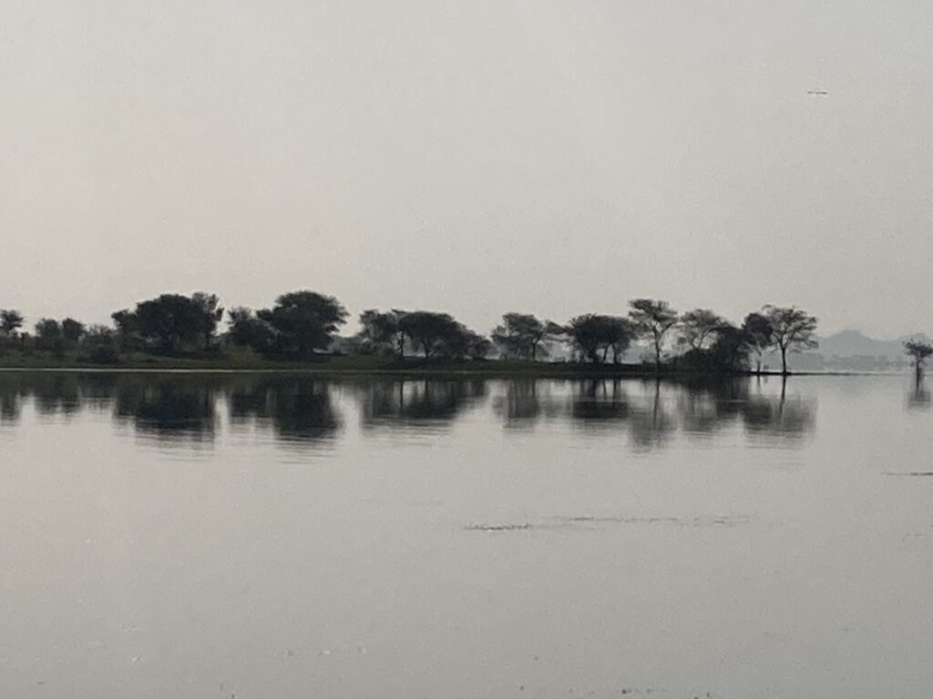 Jaisamand lake